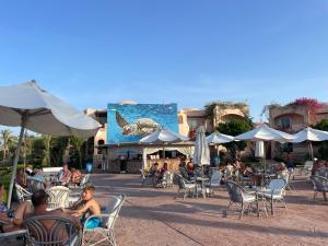 a group of people sitting in chairs at a restaurant at Dream Lagoon Resort & Aqua Park in Marsa Alam City