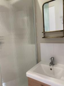 a bathroom with a sink and a shower with a mirror at Aux Bains des Mots in Saint-Aubin-sur-Mer