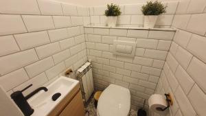 Koupelna v ubytování Apartmán U Profesora
