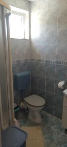 a bathroom with a blue toilet and a window at Apartments Mara Seget Vranjica in Seget Vranjica