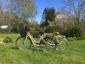 Jízda na kole v ubytování Tobisborg 1 Simrishamn nebo okolí