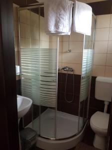 a bathroom with a shower and a toilet and a sink at Villa Casa Ioana in Braşov