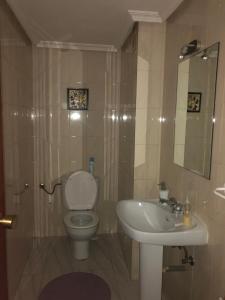a bathroom with a toilet and a sink at Asia in Alcalá de Henares