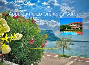 un collage di foto dell'oceano e dei fiori di Appartamento Orchidea Garda a Garda