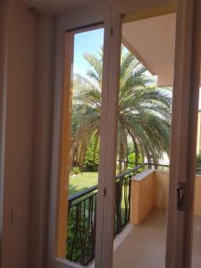 a door leading to a balcony with a palm tree at Casa di Kiki in Finale Ligure