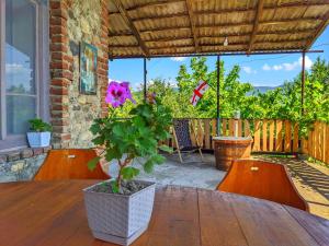 a potted plant sitting on a wooden table on a patio at Veli Guest House • საოჯახო სასტუმრო ველი in Zemo Alvani