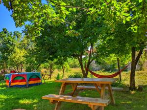 una mesa de picnic y una hamaca bajo un árbol en Veli Guest House • საოჯახო სასტუმრო ველი, en Zemo Alvani