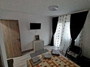 um quarto com uma cama e uma televisão na parede em Casa Ema em Orşova