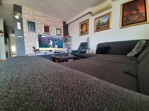 TV a/nebo společenská místnost v ubytování Best view