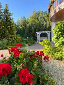 Zahrada ubytování Karle Hotel