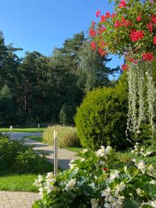 Zahrada ubytování Karle Hotel