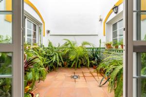 an open door to a courtyard with plants at Casa sol in Vélez-Málaga