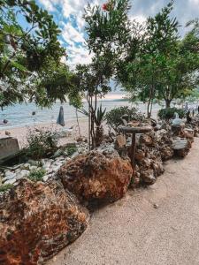 um grupo de pedras e árvores numa praia em step to the sea em Nea Karvali