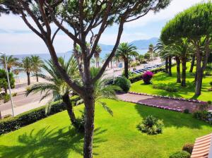 Elle offre une vue sur un parc planté de palmiers et l'océan. dans l'établissement Cnossos YourHostHelper, à Cannes