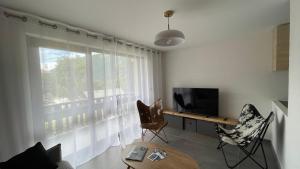 un soggiorno con TV e finestra di Morzine : bel appartement à 5 mn du téléphérique a Morzine