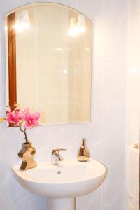un lavandino in bagno con specchio e vaso di fiori di Apartamento Dos Valles ad Aínsa