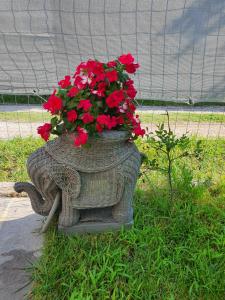 Ogród w obiekcie Villa Fer Forze you have the feeling of your own holiday home