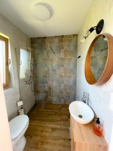 a bathroom with a sink and a toilet and a mirror at Domki Zorza in Darłowo