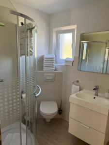 a bathroom with a shower and a toilet and a sink at Apartmani Pax in Pakoštane