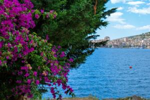 una fila de flores al lado de un cuerpo de agua en Hotel Havana, en Sarandë