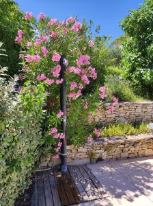 Giardino di GITE AUX 4 SAISONS DU COLORADO PROVENÇAL - 3 ÉTOILES - Rustrel