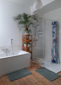 a bathroom with a sink and a tub with a potted plant at Charming house in Ghent in Ghent