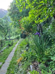 einen Gartenweg mit Straßenlicht und Blumen in der Unterkunft Hotel des Etrangers in Saint-Martin-dʼEntraunes + 44 Fotos