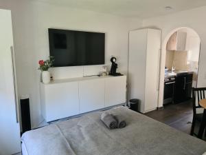uma sala de estar com televisão numa parede branca em Apartment am See em Friedrichshafen
