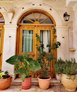 a house with potted plants in front of a door at Ξενώνας Μυρτώ in Andritsaina