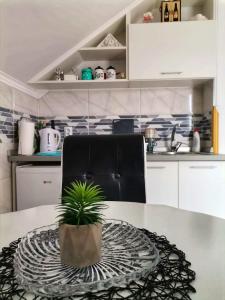 Dapur atau dapur kecil di Apartmani NECA Zlatar