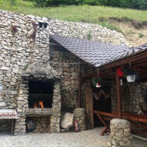 莫伊西德约斯Valea lui Bogdan的相册照片