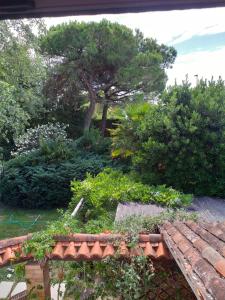 einen Garten mit Büschen und Bäumen und einem Dach in der Unterkunft La Bricola in Cavallino-Treporti