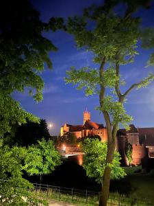 Castle View Apartment في مالبورك: قلعة في الليل مع شجرة في المقدمة
