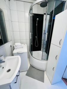 Castle View Apartment في مالبورك: حمام مع دش ومرحاض ومغسلة