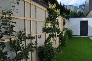 Vonkajšia záhrada v ubytovaní Haus am Walde