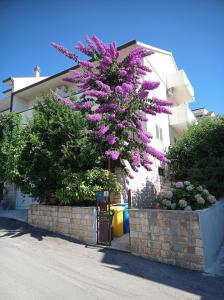 un árbol con flores púrpuras en un lado de un edificio en Apartments and Rooms Zvjezdana, en Hvar