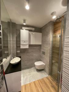 łazienka z toaletą, umywalką i prysznicem w obiekcie Apartament blisko kolejki na Skrzyczne w Szczyrku +16 zdjęć