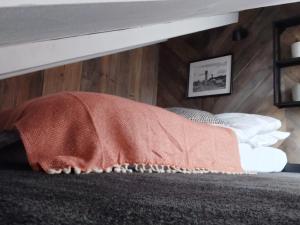 Posteľ alebo postele v izbe v ubytovaní Apartamenty Rymanów