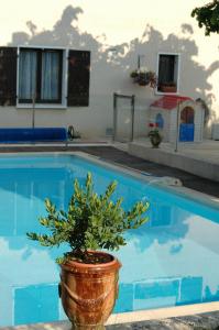 Piscina a Le Jardin de Roses DOMINIQUE LOREAU o a prop