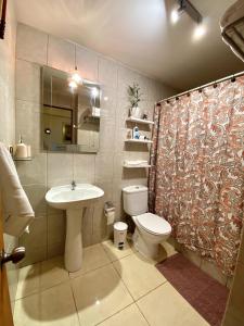 uma casa de banho com um lavatório, um WC e um chuveiro em Bed & Breakfast Lastarria em Santiago