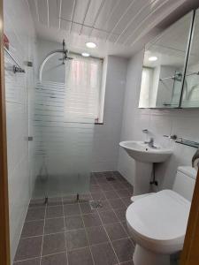La salle de bains est pourvue d'une douche, de toilettes et d'un lavabo. dans l'établissement Namhae German Village Johannes, à Namhae
