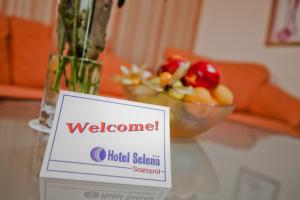 Posezení v ubytování Selena Hotel