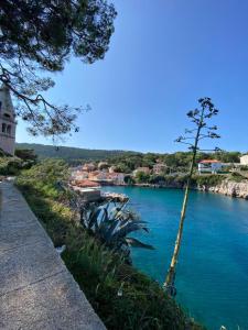 a body of water with a small tree next to it at Casa Bellavista in Nerezine