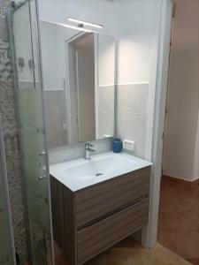 La salle de bains est pourvue d'un lavabo et d'une douche. dans l'établissement La casetta di Diana Ortigia, à Syracuse