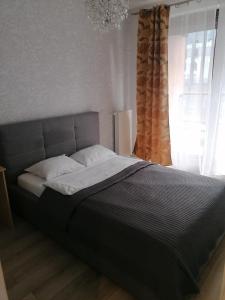 ein großes Bett in einem Schlafzimmer mit Fenster in der Unterkunft Apartamenty Warszawskie delux Siedmiogrodzka in Warschau