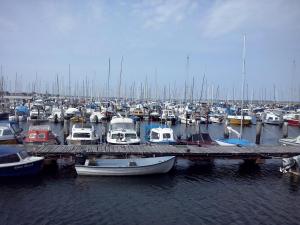 Ein Haufen Boote, die in einem Yachthafen angedockt sind. in der Unterkunft Apartment Marina Wendtorf in Wendtorf