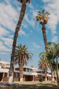 伊卡的住宿－Hotel Real Ica，一群棕榈树在一座建筑前