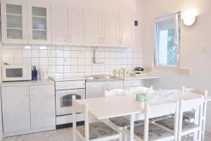 Кухня или мини-кухня в Palit AP Family & Pet Friendly Apartment in Rab
