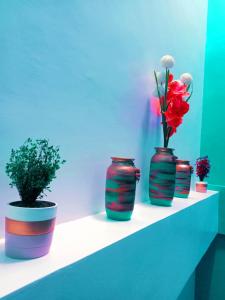 four vases sitting on a shelf with flowers in them at Lee Residences by JAL in Legazpi
