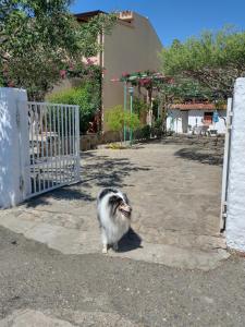 Domáce zviera alebo zvieratá hostí v ubytovaní casa luisa3br